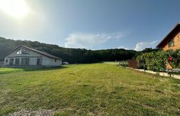 Teren intravilan 2100mp, intre Sard si Ampoita