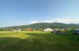 Teren intravilan 2100mp, intre Sard si Ampoita