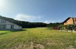 Teren intravilan 2100mp, intre Sard si Ampoita