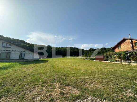 Teren de vânzare Exterior Vest - 120994TV | BLITZ Alba Iulia | Poza3