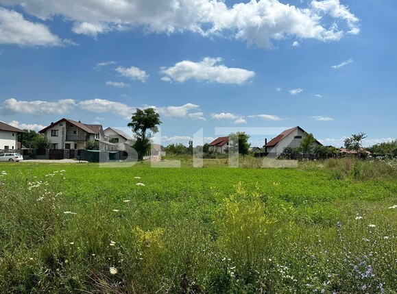 Teren de vânzare Micești - 120996TV | BLITZ Alba Iulia | Poza1