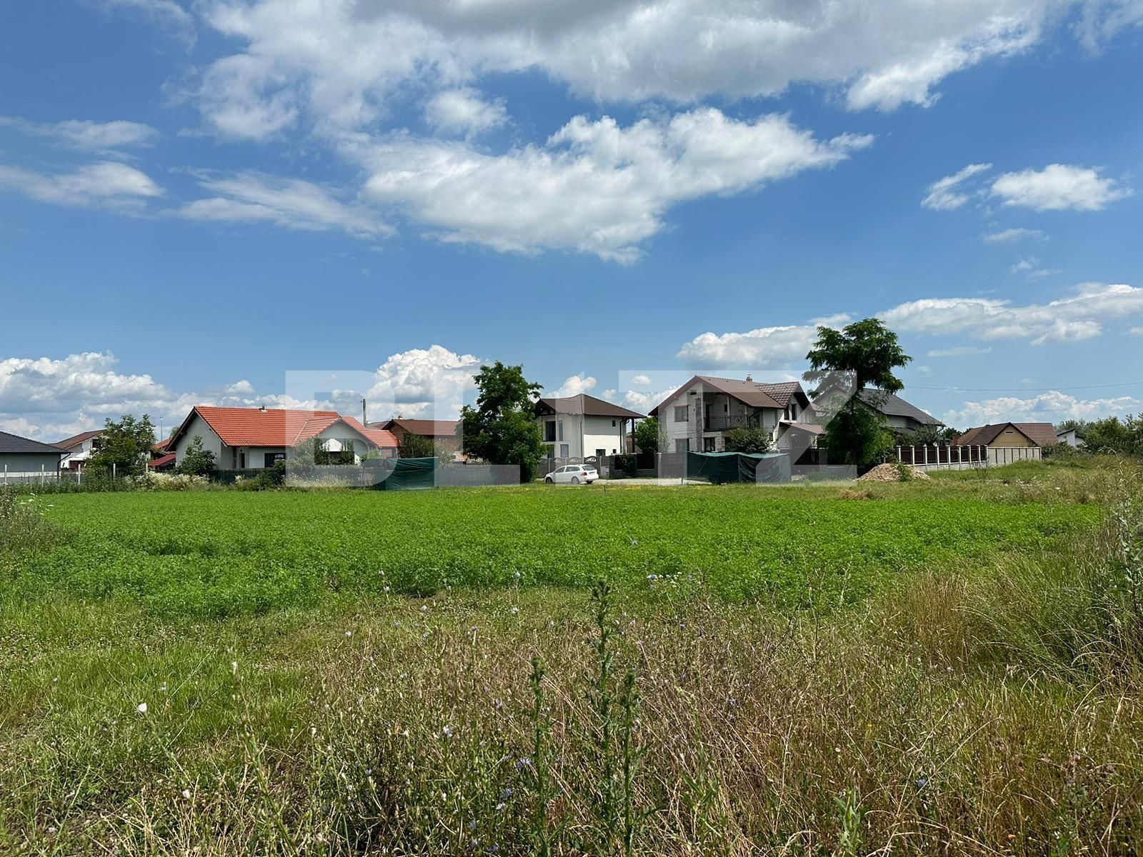 Teren de vânzare Micești - 120996TV | BLITZ Alba Iulia | Poza3