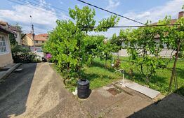 Investiție, Casă individuală, zona Cetate - Dealul Furcilor