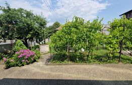 Investiție, Casă individuală, zona Cetate - Dealul Furcilor