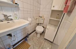 Investiție, Casă individuală, zona Cetate - Dealul Furcilor