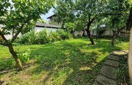 Investiție, Casă individuală, zona Cetate - Dealul Furcilor