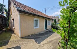 Investiție, Casă individuală, zona Cetate - Dealul Furcilor