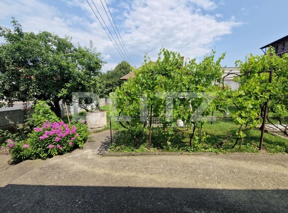 Casa de vânzare 2 camere Cetate - 121157CV | BLITZ Alba Iulia | Poza12