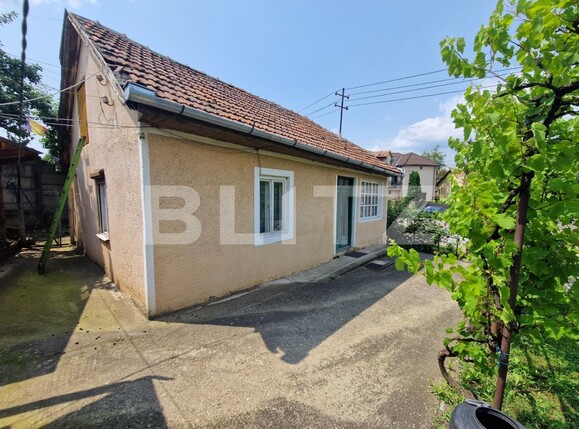 Casa de vânzare 2 camere Cetate - 121157CV | BLITZ Alba Iulia | Poza2