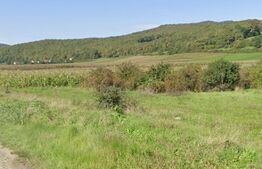 Teren intravilan cu utlitatile in apropiere1380 mp zona Sard