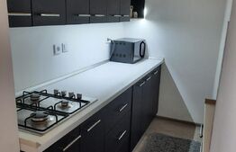 Garsoniera, 30 mp, decomandat, zona Cetate