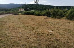 Teren intravilan 939 mp apa, gaz, curent pe partea stanga Micesti