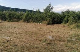 Teren intravilan 939 mp apa, gaz, curent pe partea stanga Micesti