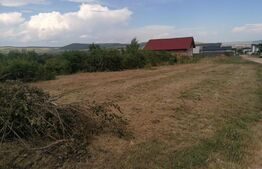 Teren intravilan 939 mp apa, gaz, curent pe partea stanga Micesti