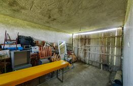 Casă cu 4 camere, 8700 mp teren cu livadă, zona Ighiu - Țelna