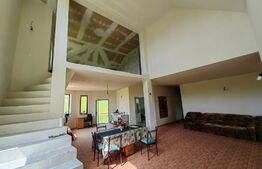 Casă cu 4 camere, 8700 mp teren cu livadă, zona Ighiu - Țelna