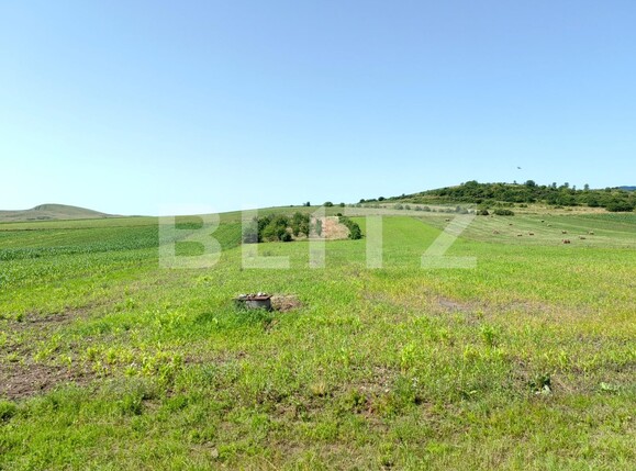 Casa de vânzare 4 camere Nord Vest - 121453CV | BLITZ Alba Iulia | Poza4