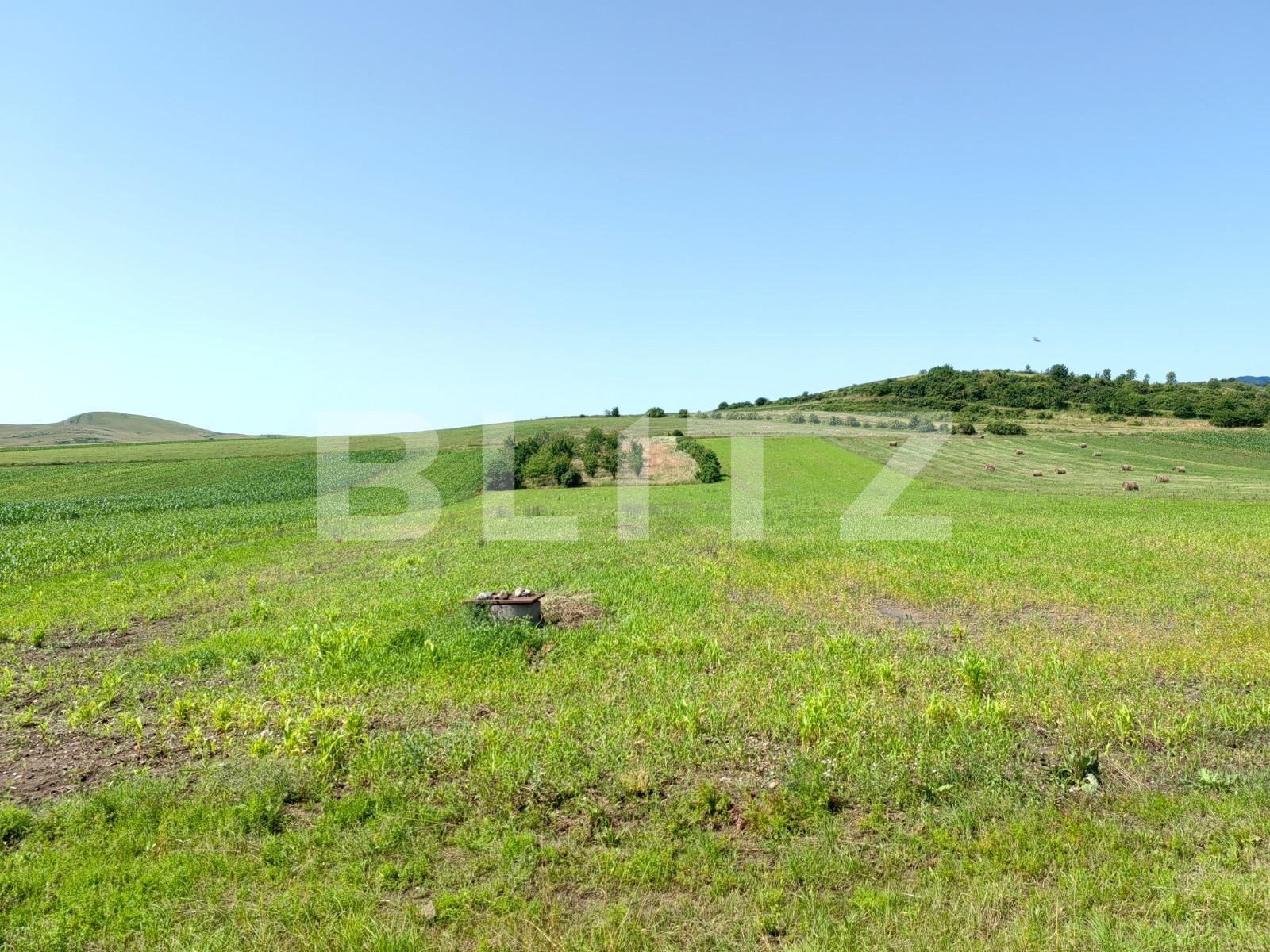 Casa de vânzare 4 camere Nord Vest - 121453CV | BLITZ Alba Iulia | Poza4