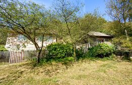 Proprietate cu 2 case, teren 2ha, zona Zlatna - Muntii Apuseni