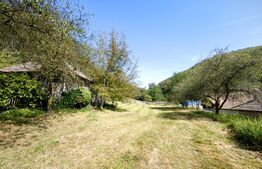 Proprietate cu 2 case, teren 2ha, zona Zlatna - Muntii Apuseni