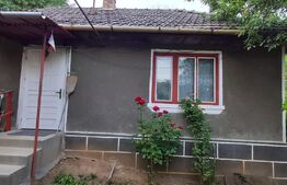 Proprietate cu 2 case, teren 2ha, zona Zlatna - Muntii Apuseni