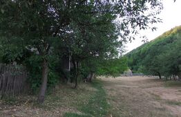 Proprietate cu 2 case, teren 2ha, zona Zlatna - Muntii Apuseni