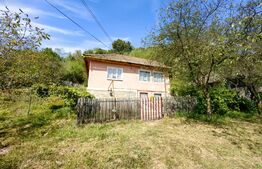 Proprietate cu 2 case, teren 2ha, zona Zlatna - Muntii Apuseni