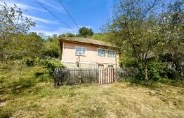 Proprietate cu 2 case, teren 2ha, zona Zlatna - Muntii Apuseni
