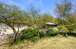 Proprietate cu 2 case, teren 2ha, zona Zlatna - Muntii Apuseni