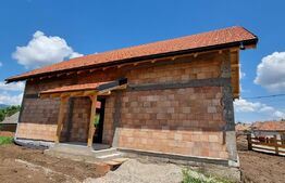 Casă individuală la roșu, 1007mp teren, zona Vințu de Jos