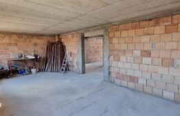 Casă individuală la roșu, 1007mp teren, zona Vințu de Jos