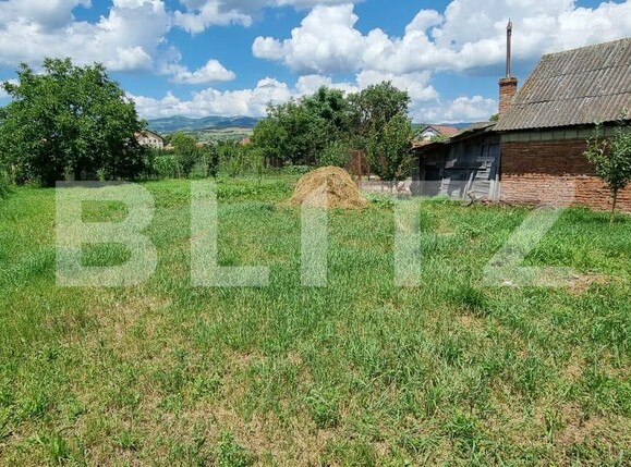 Casa de vânzare 4 camere Vinţu de Jos - 121699CV | BLITZ Alba Iulia | Poza19