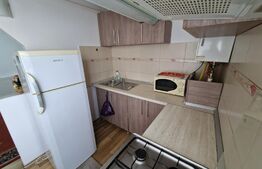 Garsoniera, 25 mp, luminos, zona Cetate