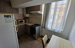 Garsoniera, 25 mp, luminos, zona Cetate