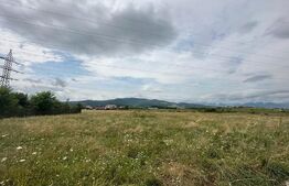 Teren intravilan, 1904mp, cartier Ampoi 3