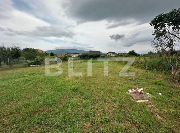 Casa de vânzare 3 camere Sud-Vest - 122193CV | BLITZ Alba Iulia | Poza7