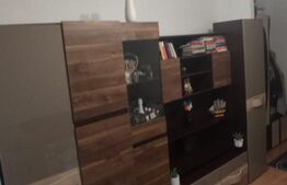 Garsoniera, 25 mp, luminos, zona Cetate