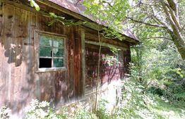 Casă cu 12ha teren, zona Mogoș - Transalpina de Apuseni