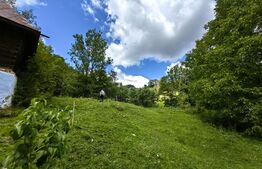 Casă cu 12ha teren, zona Mogoș - Transalpina de Apuseni