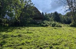 Casă cu 12ha teren, zona Mogoș - Transalpina de Apuseni