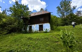 Casă cu 12ha teren, zona Mogoș - Transalpina de Apuseni