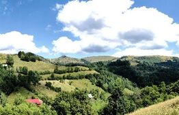 Casă cu 12ha teren, zona Mogoș - Transalpina de Apuseni