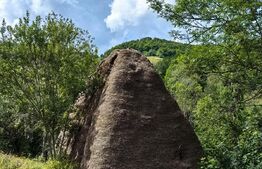 Casă cu 12ha teren, zona Mogoș - Transalpina de Apuseni