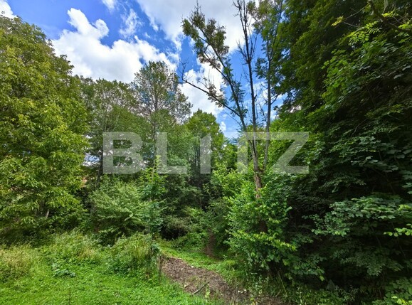 Casa de vânzare 3 camere Nord Vest - 122337CV | BLITZ Alba Iulia | Poza7