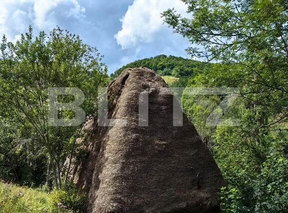 Casa de vânzare 3 camere Nord Vest - 122337CV | BLITZ Alba Iulia | Poza2