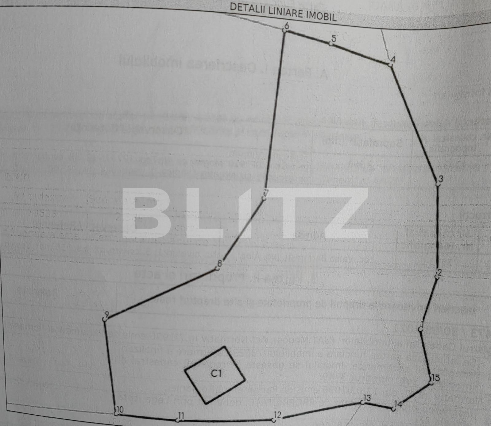 Casa de vânzare 3 camere Nord Vest - 122337CV | BLITZ Alba Iulia | Poza6