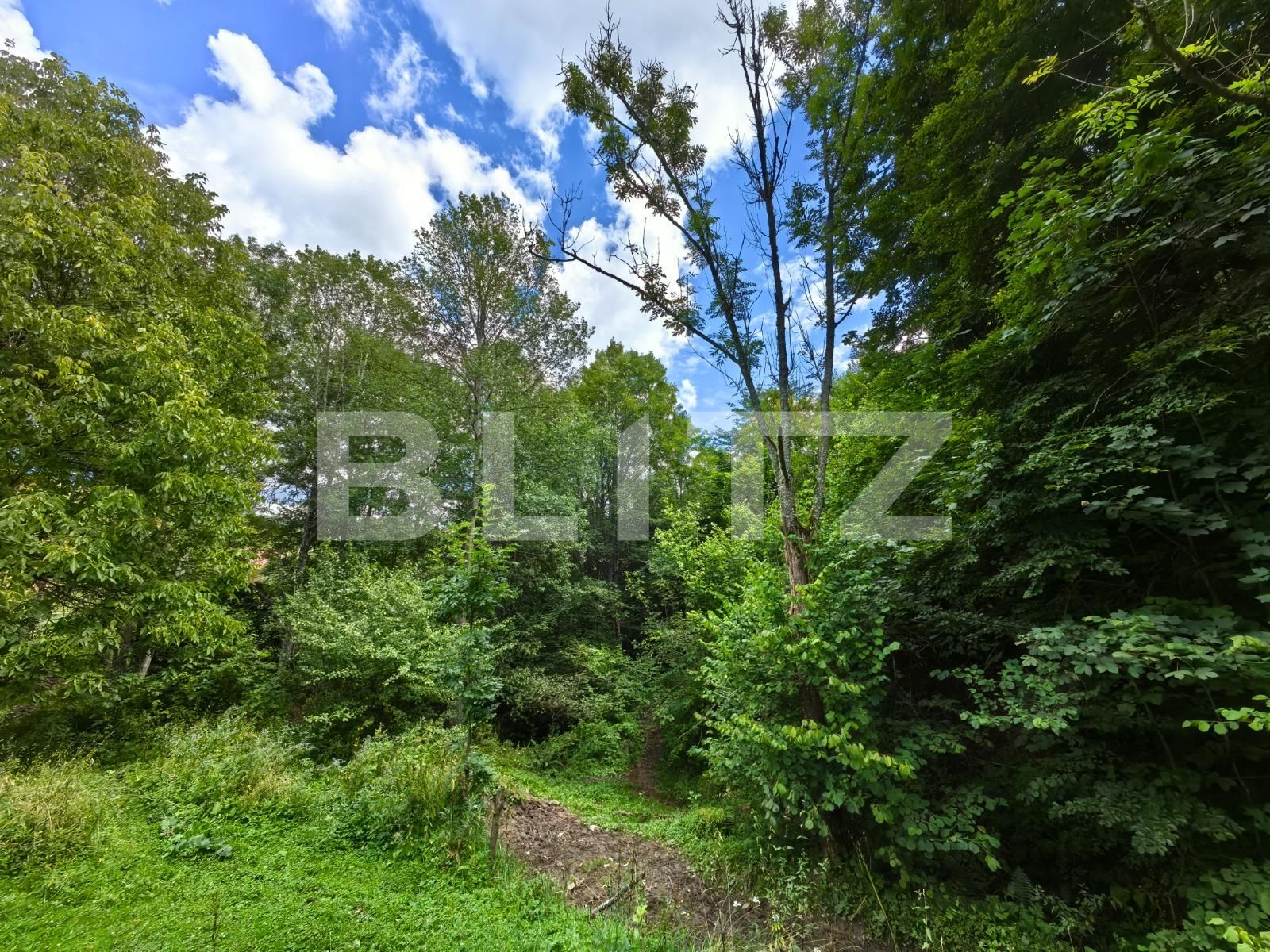 Casa de vânzare 3 camere Nord Vest - 122337CV | BLITZ Alba Iulia | Poza7