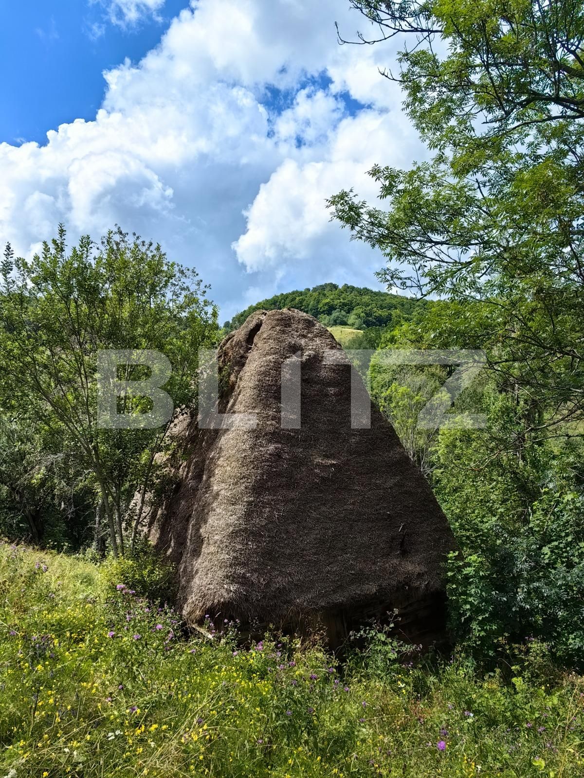 Casa de vânzare 3 camere Nord Vest - 122337CV | BLITZ Alba Iulia | Poza2