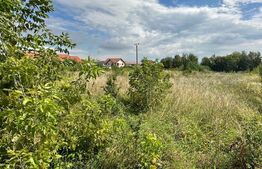 Teren intravilan, 3800 mp, zona Lidl Cetate