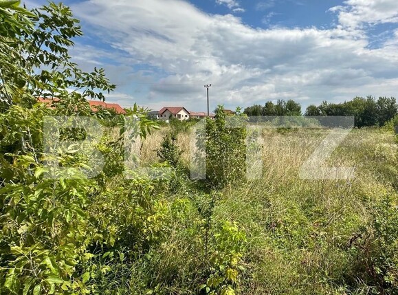 Teren de vânzare Cetate - 122632TV | BLITZ Alba Iulia | Poza1